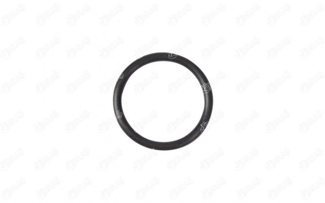 EMME MANIFOLD CONTASI CITROEN/BERLINGO FIRST PANELVAN/VAN 1.9 D 70 4WD MBWJZ. MCWJZ 98 - 07