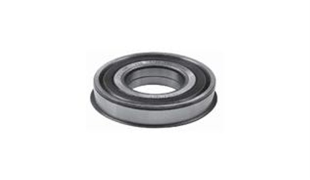 PORYA RULMANI ON LAGUNA I BM 96 - 