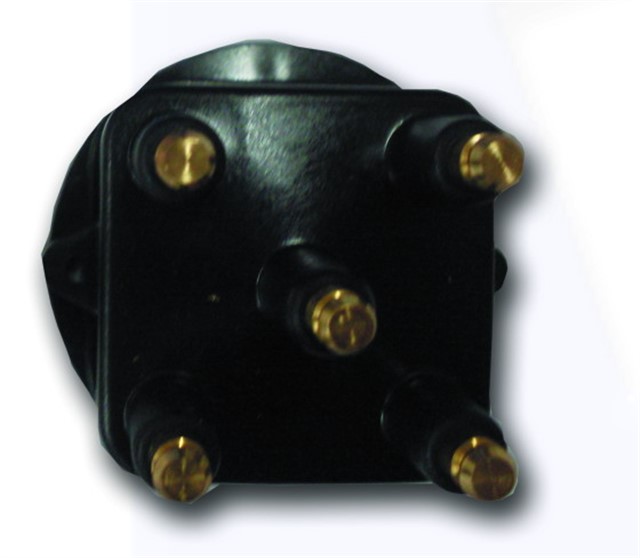 DISTRUBITOR KAPAGI R19 - EXP