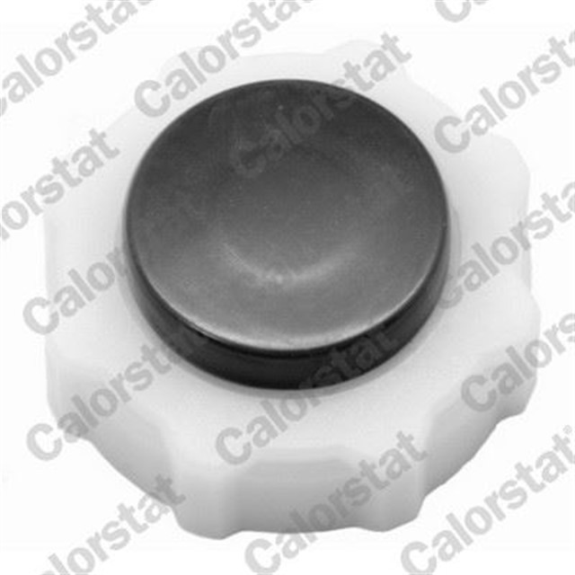 GENLESME KAVANOZ KAPAGI R9 - FLASH - R19 - R12 - TOROS - MGN - CLIO - KNG - EXP - LOGAN - SOLENZA