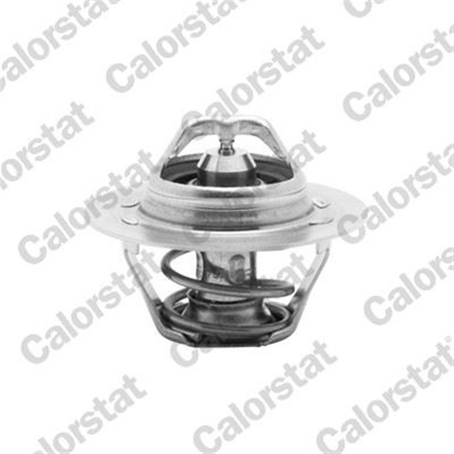 TERMOSTAT 89C KANGOO 1.9D - MEGANE 1.6 - 2.0 - LAGUNA 1.8 - 2.0 - P106 - P306 - P405 V2141