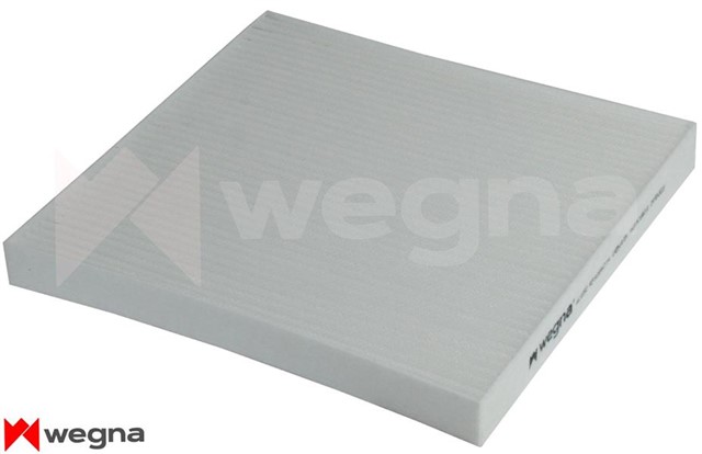 POLEN FILTRESI DUCATO - BOER - JUMPER 2.2HDI 06 CU 2544