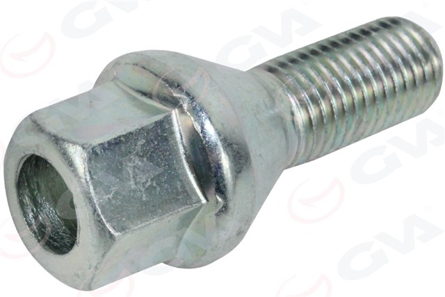 BIJON CIVATASI DACIA DUSTER - LOGAN PAKET 12