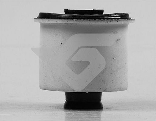 TORSIYON BURCU C2 - C3 I - II