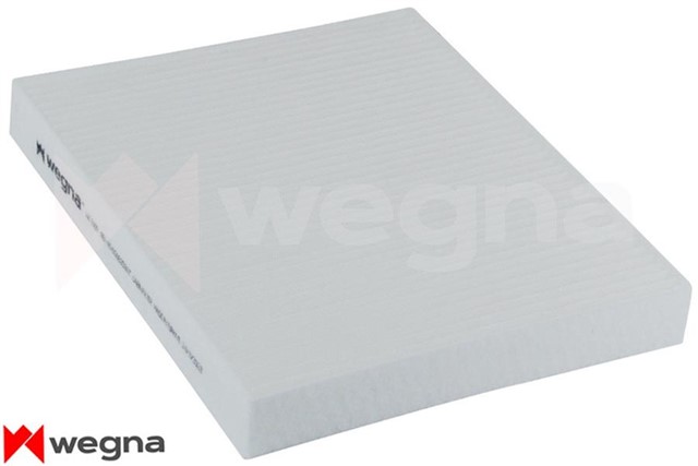 POLEN FILTRESI POLO - CORDOBA - IBIZA - FABIA - A1 - A2 2001 - 