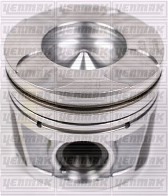 PISTON SEGMAN STD 79.50MM BRAVO 1.6 JTD EURO5 16V - DOBLO 1.6 16V - LINEA 1.6 16V