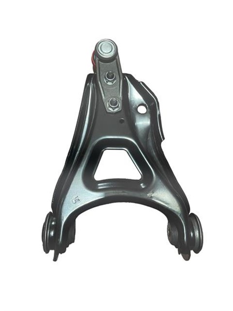 SALINCAK ROTILLI ON - SAG CLIO KANGOO 98 - 12