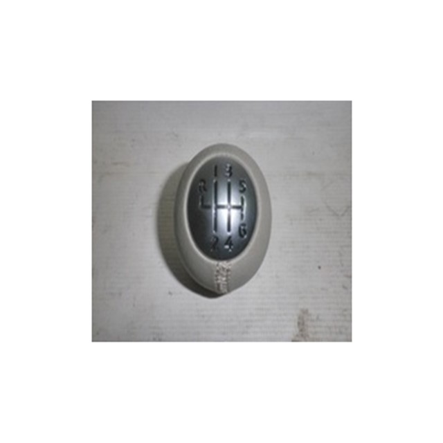 VITES TOPUZU GRI MGN III - FLUENCE