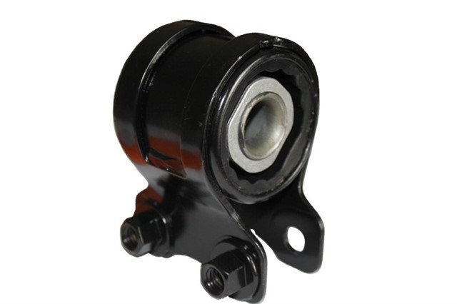 SALINCAK BURCU BUYUK FOCUS