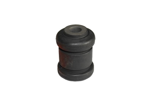 SALINCAK BURCU KUCUK FOCUS