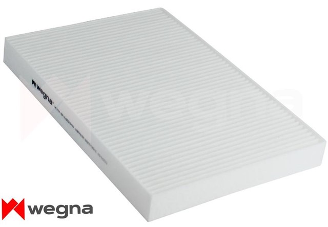 POLEN FILTRESI [KARBONLU] A4 - A6 00 - 08