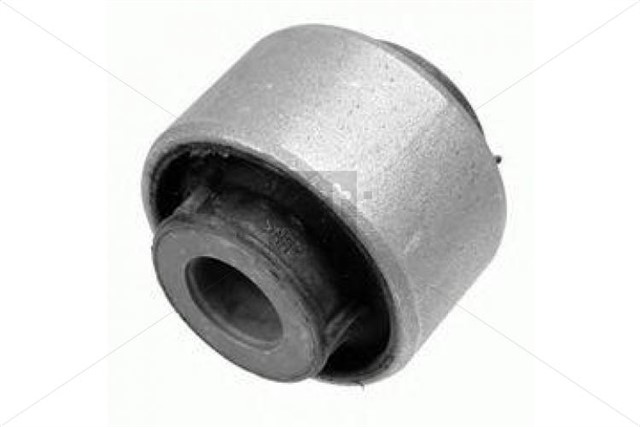 SALINCAK BURCU MEGANE III