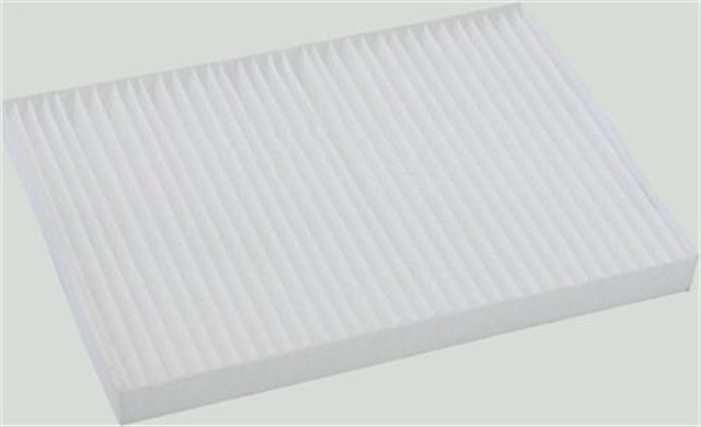 POLEN FILTRESI KOLEOS 08 CU2620