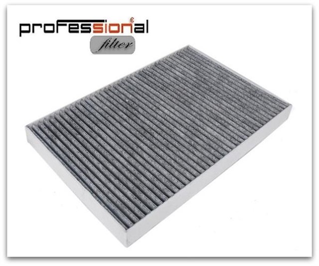 POLEN FILTRESI [KARBONLU] A4 - A6 00 - 08