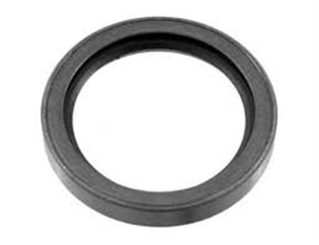 SANZUMAN KECESI ARKA 131/DOGAN/SAHIN/KARTAL BM 87 - 