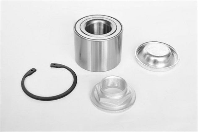 PORYA RULMANI ARKA LOGAN MCV/DUSTER/KANGOO III BM 08 - 