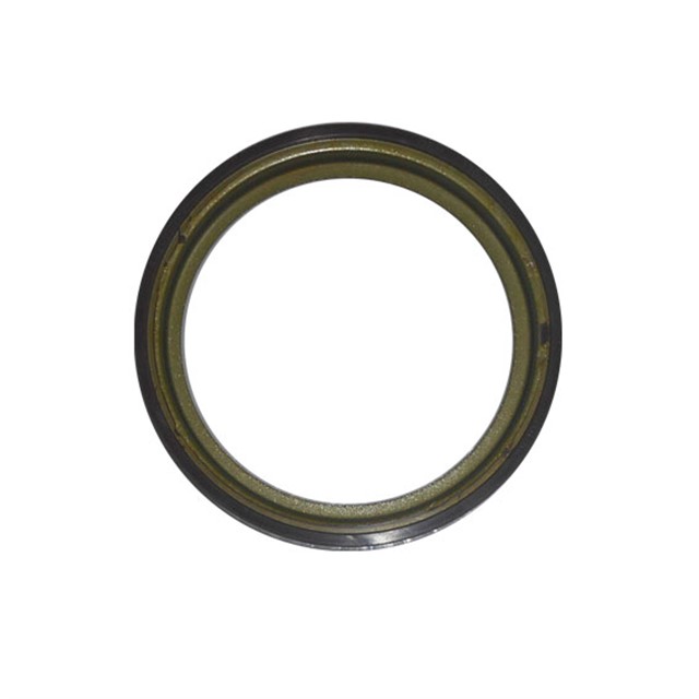 ABS OKUYUCU HALKA ARKA SANDERO - DOKKER