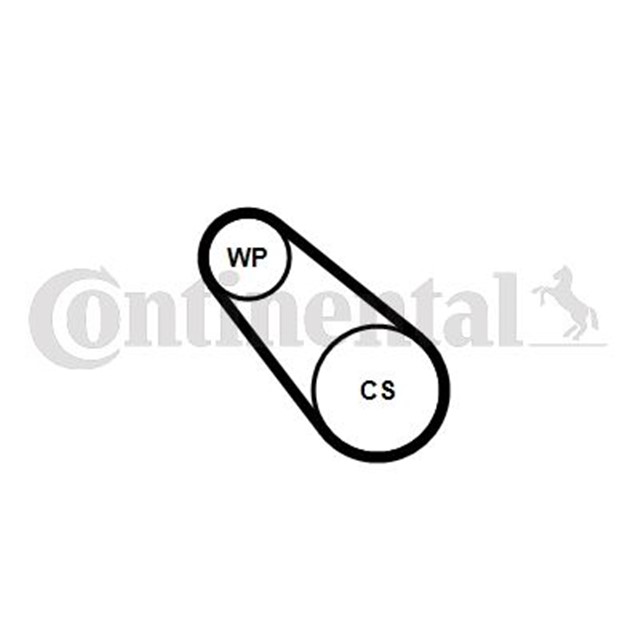 MULTI V - BELT KIT WATER PUMP