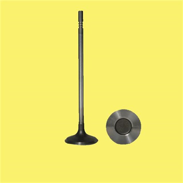 SUBAP EMME EGZOZ P106 - P306 - P406 1.8 - 2.0 16V IN - 8/EX - 8