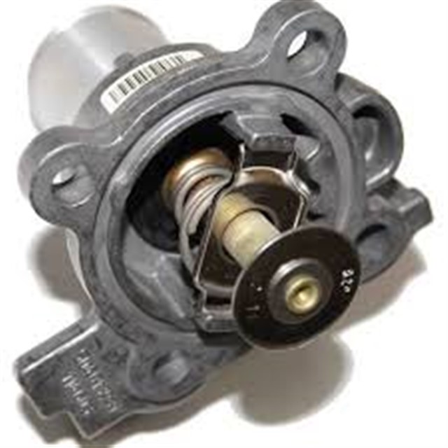 GOVDE.SU POMPASI DCT