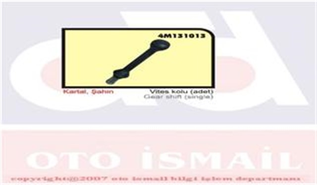 VITES KOLU KARTAL - SAHIN