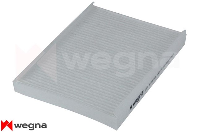 POLEN FILTRESI BRAVO II 07 STILO 801 - 06 DELTA III 08 1.4 - 1.6D - 1.9JTD - 2.0D CU 2422