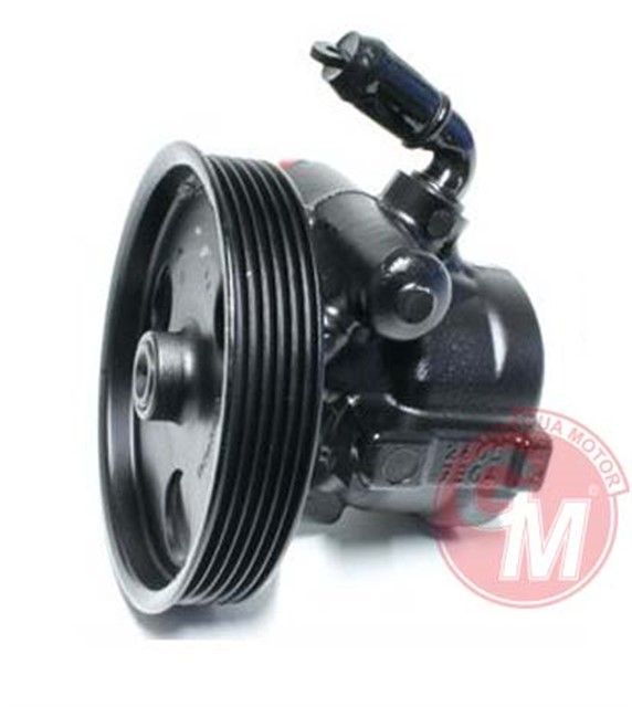 DIREKSIYON POMPASI RENAULT LAGUNA III 1.6 - 16VALF 6 KANAL