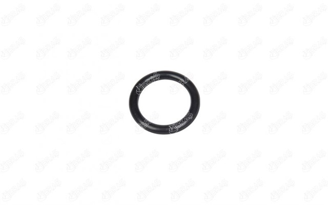 EMME MANIFOLD ORINGI [ADET] FIESTA - 206 - 307 - C3 - BIPPER - NEMO DV4 1.4 TDCI 02 - 