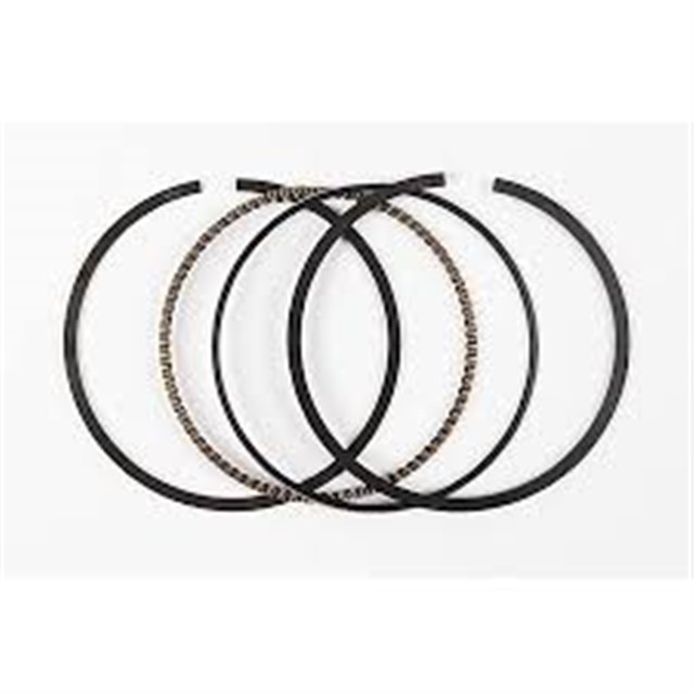 MOTOR SEGMAN STD NISSAN PRIMASTAR 06 X - TRAIL II 09 - 13 OPEL VIVARO A 06 - 14 ESPACE IV 06 LAGUNA - MEGANE II - III - TRAFIC II