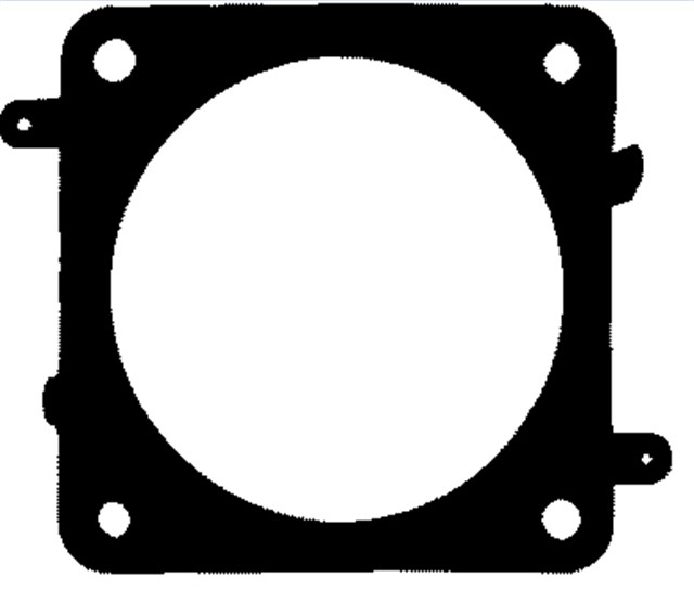 EGZOZ BOGAZ CONTASI CELIK P206 - P207 - P307 - P308 1.6 16V TU5JP4