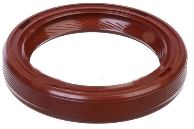 EKSANTRIK ARKA KAPAK KECESI EXPRESS - LGN - R9 - R21 - R19 1.6 - 1.9 DZL 30X40X7