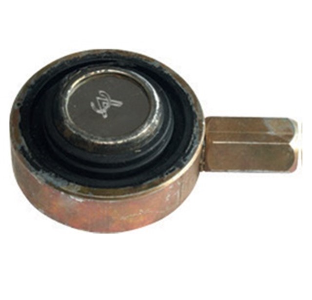 VITES TEL YUVASI KUCUK PALIO - SIENA