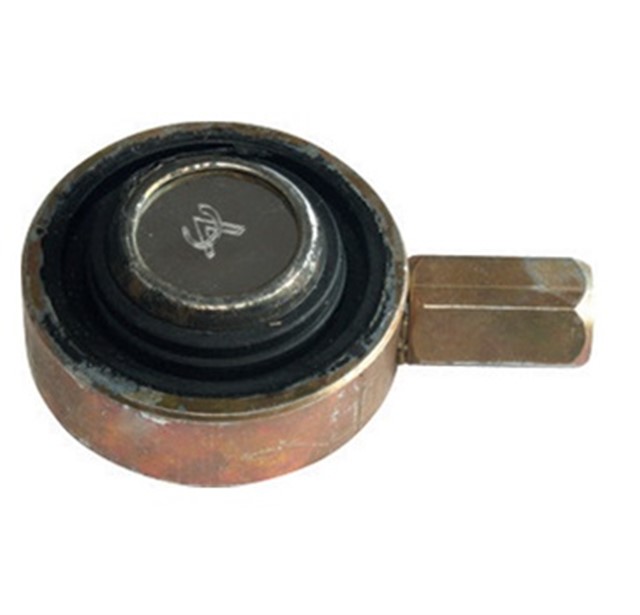 VITES TEL YUVASI BUYUK PALIO - SIENA