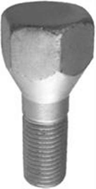 BIJON CIVATASI ORJ. KAPLAMALI PALIO - SIENA