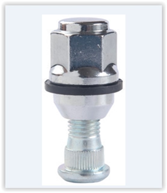 BIJON SAPLAMASI VE SOMUNLU TAKIM HYUNDAI BENZINLI ACCENT - ERA - GETZ Q14 FREZE