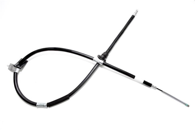 EL FREN TELI SOL ACCENT 11/95