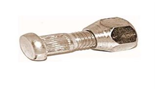 ON BIJON VE SOMUNU ERA