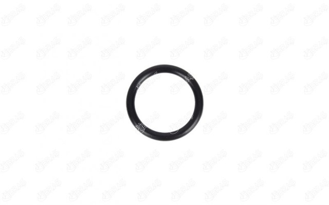 DEVIRDAIM BORUSU CONTASI MEGANE I - II - III SCENIC I - II - III KANGOO I - II 1.6 CLIO II 1.6 28MM X 4MM