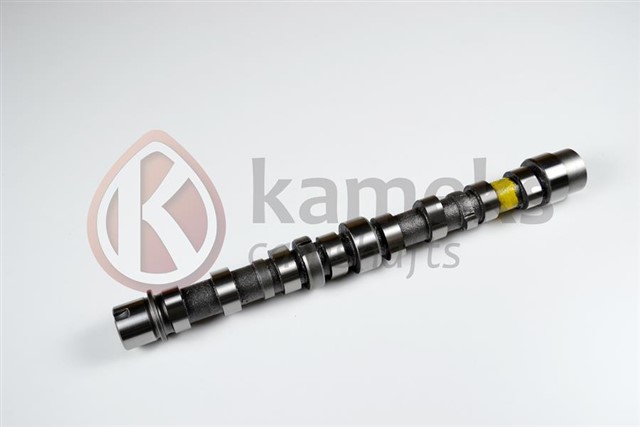 EKSANTRIK MILI EMME BIPPER 10 NEMO 10 DOBLO 10 EGEA 16 PUNTO 12 500 L 12 95BG 1.3 JTD EURO5 DOKUM