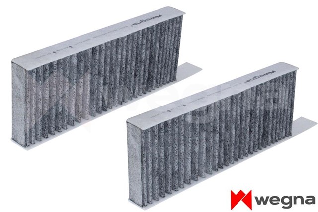 POLEN FILTRESI ASTRA L 21 P308 II - III 13 P508 18 KARBONLU