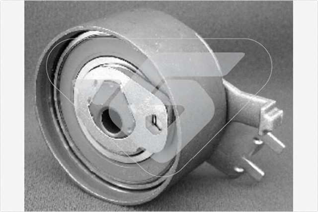 EKSANTRIK GERGI RULMANI LGN 2.0 - 2.0 16V 95 - 01 - SAFRANE II 2.0 16V - 2.5 2.0V 96 - 00 - VOLVOS40 N7Q