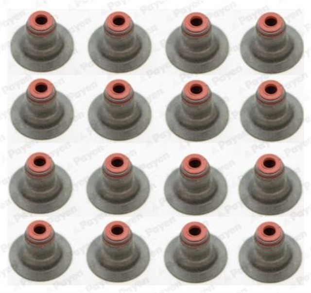 OPEL SUBAP LASTIGI TAKIM