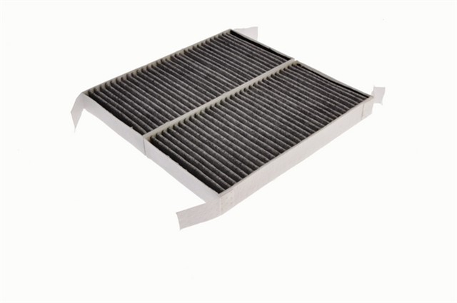 POLEN FILTRESI LGN III 07