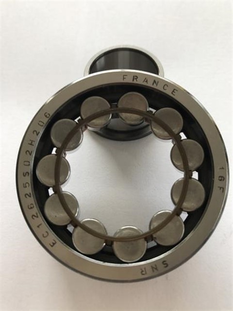 SANZUMAN RULMANI CLIO - KNG - LGN - MGN - R19 - SCENIC 25X59X18 EC12625S02H206 X