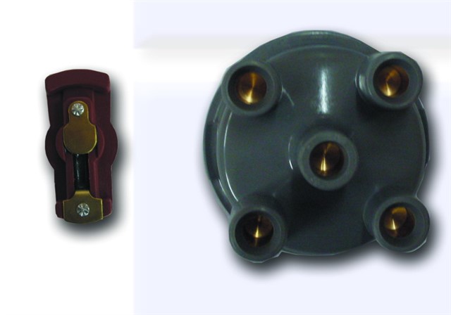 DISTRUBITOR KAPAGI TEVZI MAKARASI FAVORIT