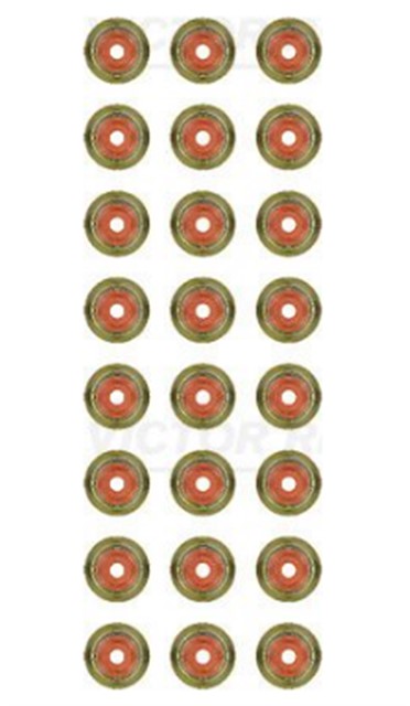 SUPAP LASTIGI BMW M57 N57N E39 E46 E60 E63 E53 E70 E83 E90 RANGE ROVER 3 L322 3.0 D 02 12