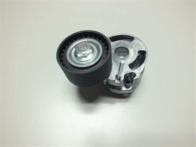 ALTERNATOR GERGI RULMANI KUTUKLU P206 1.4HDI - 407 - PARTNER 1.6 HDI - C3 1.6 16V - C5 1.6HDI - BERLINGO 1.6