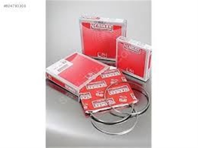 MOTOR SEGMANI R19 - EXP - KNG 1.9 DZL F8Q 80.00 MM 1.00