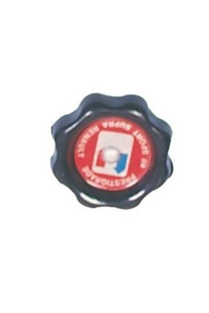 MOTOR YAG KAPAGI R12