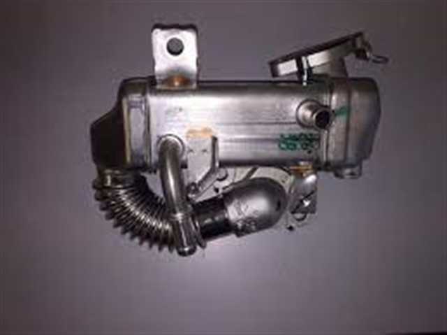 EGR SOGUTUCUSU KADJAR 15 KOLEOS II 16 MEGANE IV 15 TRAFIC III 15 QASHQAI II 13 X - TRAIL III 14 1.6 DCI R9M